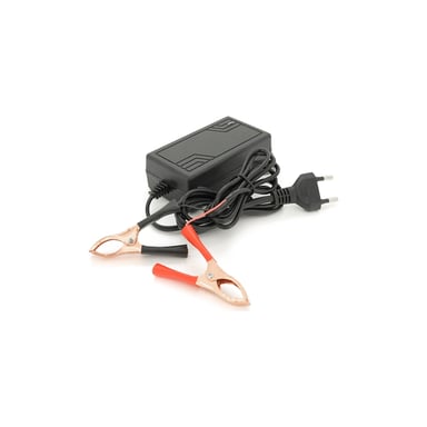 Мережевий зарядний пристрій для АКБ Voltronic LiFePO4 12V (14.6V),4S,2A (YT-CKS-14620) - фото 1