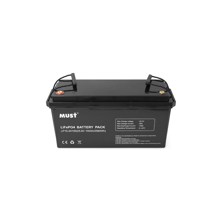 Батарея LiFePo4 Must 25.6V - 100Ah (LP15-24100) - фото 2