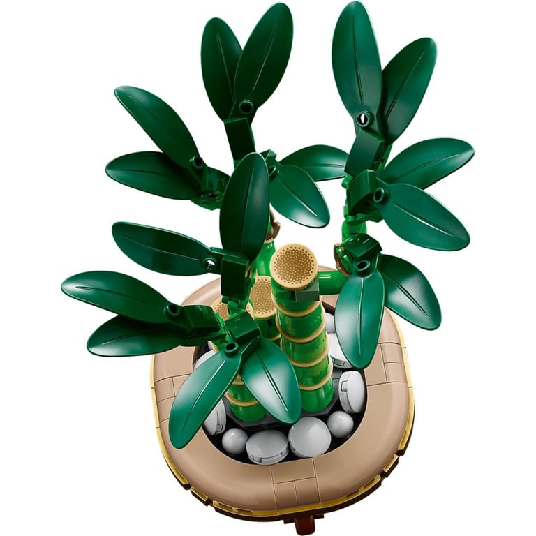 Конструктор LEGO Botanicals Бамбук щастя (10344) - фото 3