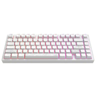 Клавіатура Dark Project ALU81 Terra Nostra PBT RGB Mech G3MS Moonstone White (DPKB_NOSTRA_81_ANSI_WHITE_UA) - фото 1