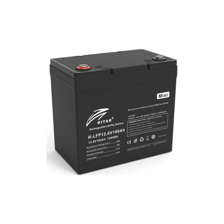 Батарея LiFePo4 Ritar R-LFP 12.8V 100Ah mini (R-LFP12.8V100AH-mini) - фото 1