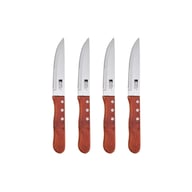 Набір ножів Bergner Bbq lovers для стейків, 4 предмети (BG-40201-MM) - фото 1