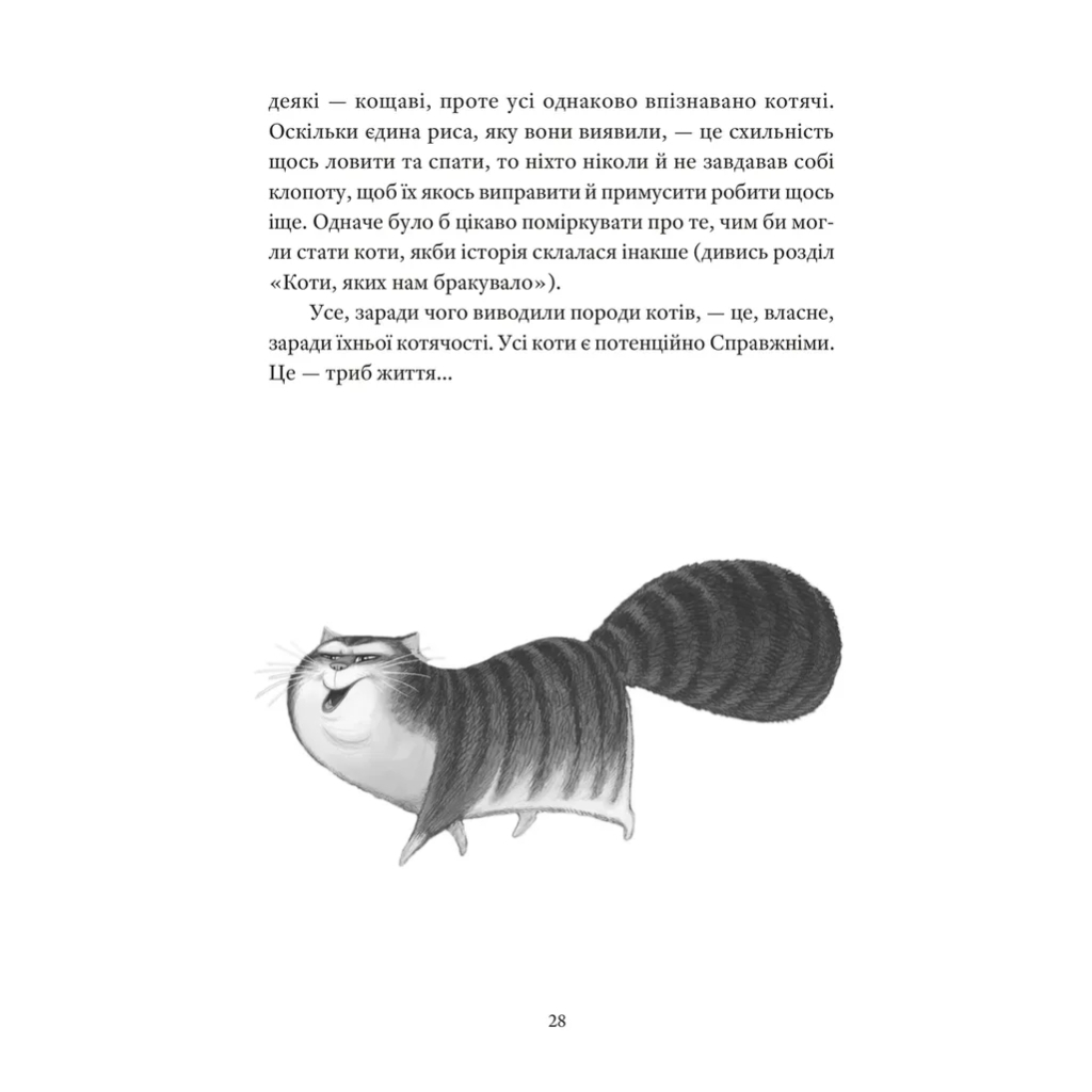 Книга Справжнісінький кіт - Террі Пратчетт Видавництво Старого Лева (9789664481394) - фото 10 Книга Справжнісінький кіт - Террі Пратчетт Видавництво Старого Лева (9789664481394) - фото 10
