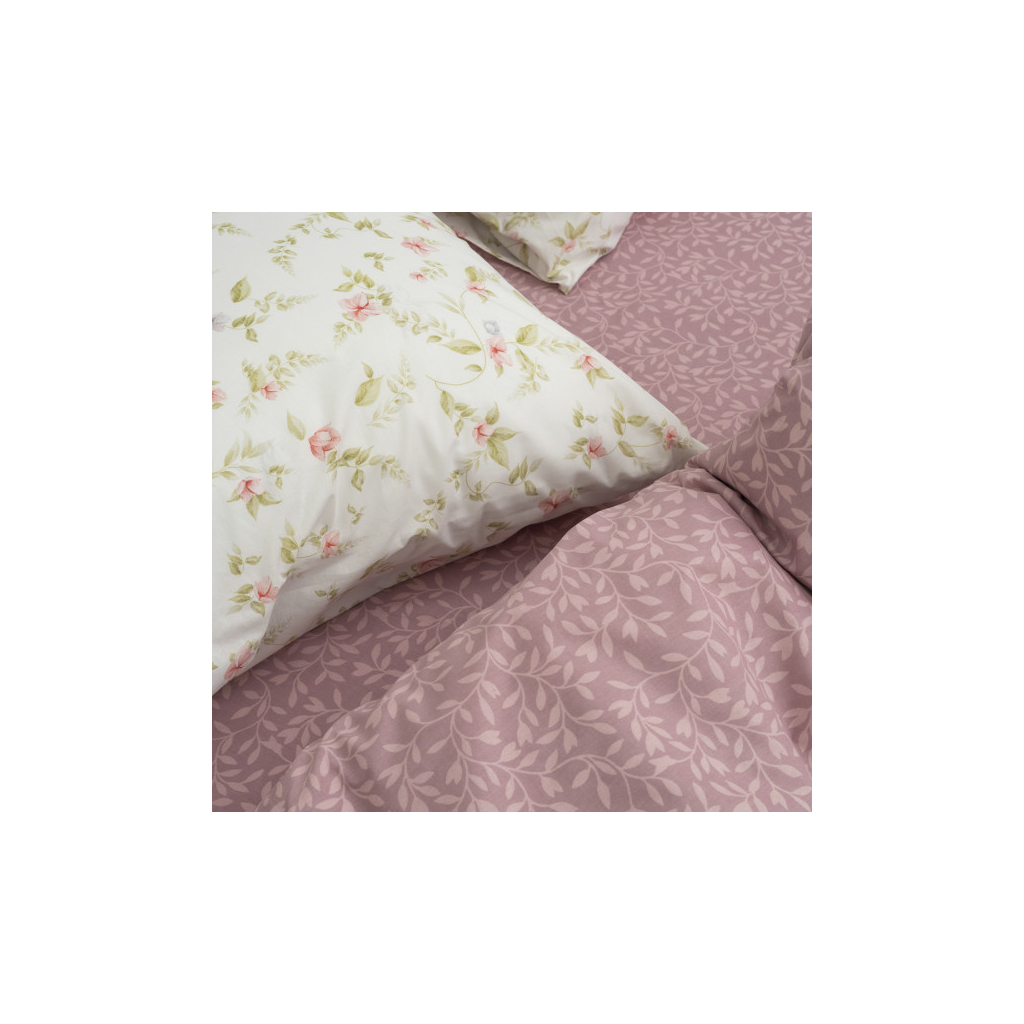 Постільна білизна Viluta 24282 Ранфорс полуторний (24282_pl) - фото 4 Постільна білизна Viluta 24282 Ранфорс полуторний (24282_pl) - фото 4