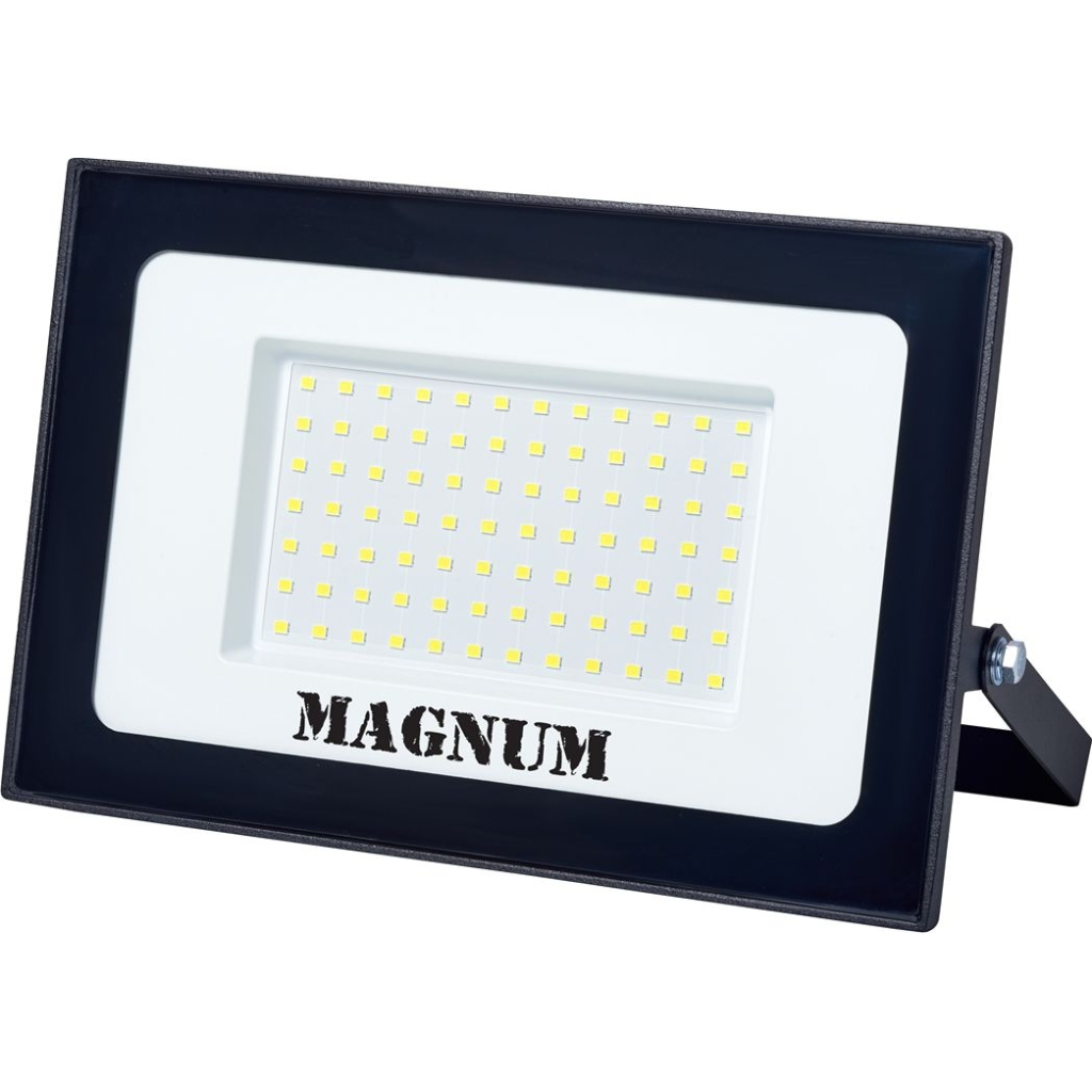 Прожектор MAGNUM FL12 ECO LED 100Вт slim 6500К IP65 (90018087) Прожектор MAGNUM FL12 ECO LED 100Вт slim 6500К IP65 (90018087)