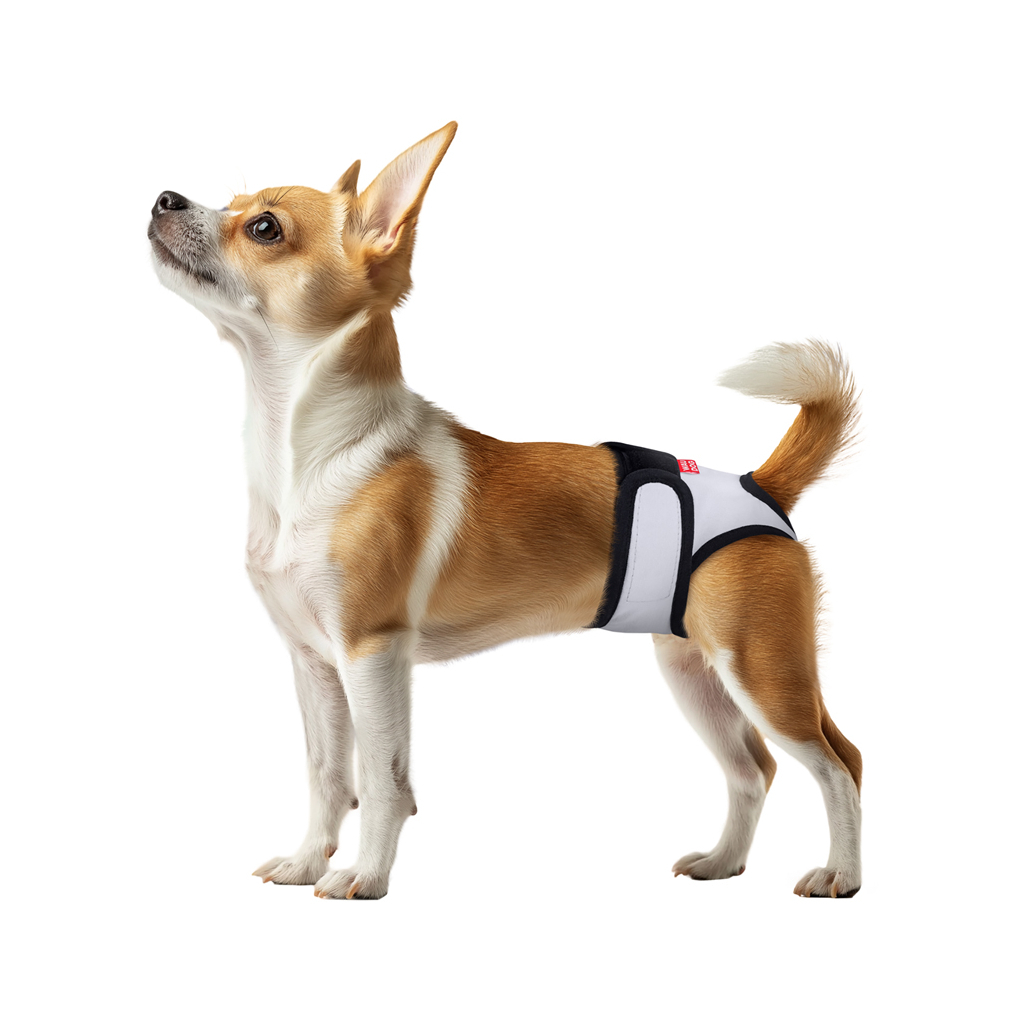 Гігієнічні труси для собак WAUDOG Vet на липучках XL сірі (678511) - фото 3 Гігієнічні труси для собак WAUDOG Vet на липучках XL сірі (678511) - фото 3