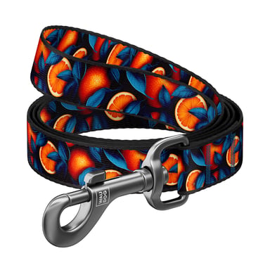 Повідець для собак WAUDOG Nylon "Апельсини" S, Ш 15 мм, Д 200 см (760-4054) - фото 1