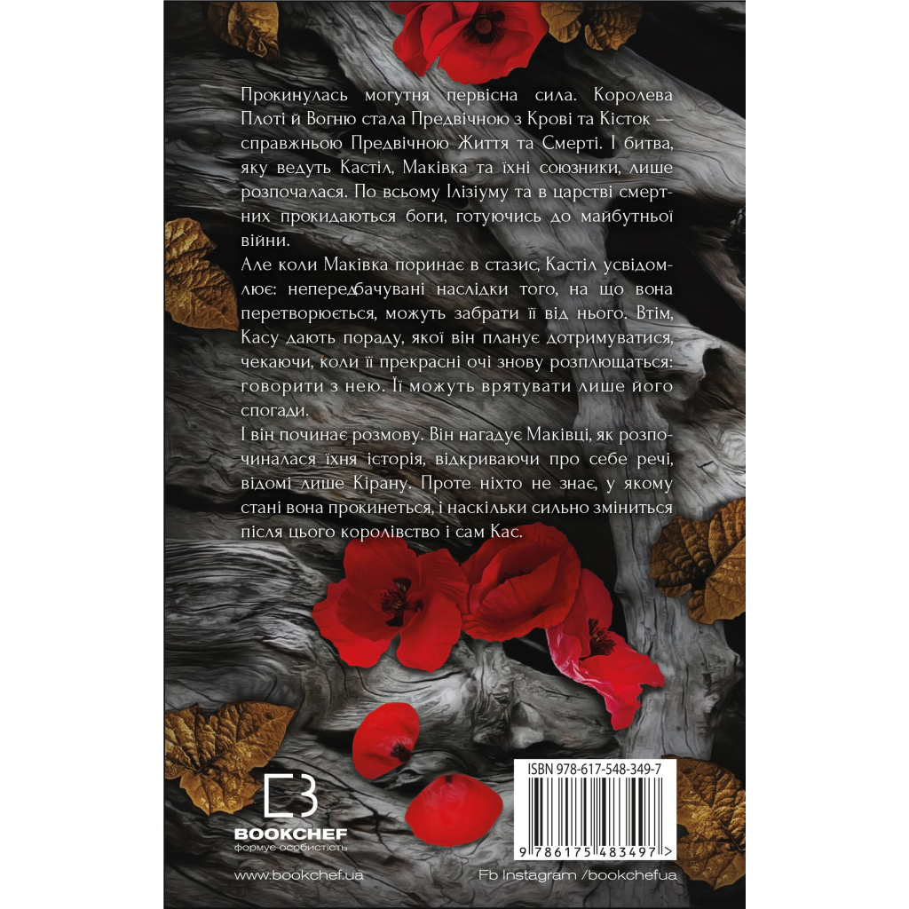 Книга Кров і попіл: Душа з попелу та крові - Дженніфер Л. Арментраут BookChef (9786175483497) - фото 3 Книга Кров і попіл: Душа з попелу та крові - Дженніфер Л. Арментраут BookChef (9786175483497) - фото 3