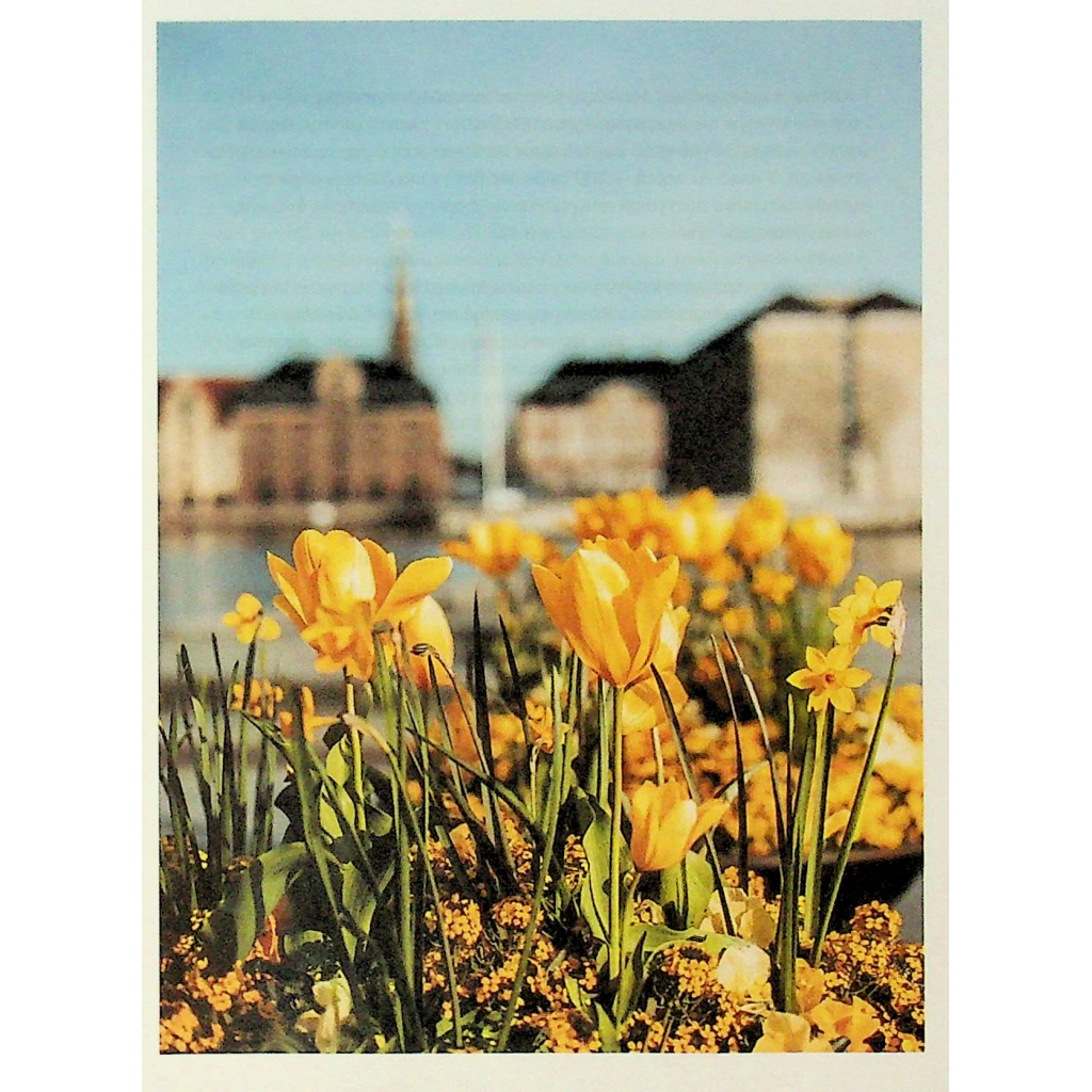 Книга Мистецтво праці по-данськи. Як знайти щастя у роботі й за її межами - Мік Вікінг КСД (9786171507203) - фото 8 Книга Мистецтво праці по-данськи. Як знайти щастя у роботі й за її межами - Мік Вікінг КСД (9786171507203) - фото 8