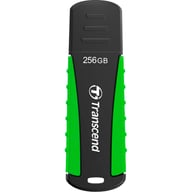 USB флеш накопичувач Transcend 256GB JetFlash 810 USB 3.1 (TS256GJF810) - фото 1