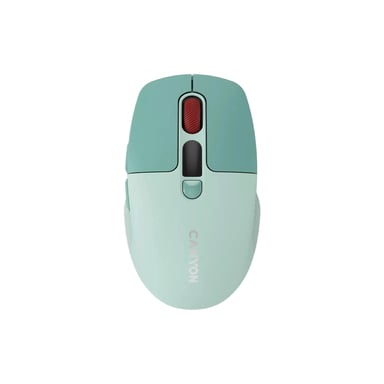 Мишка Canyon MW-26 LCD Silent Wireless/Bluetooth Green (CNS-CMSW26GR) - фото 1