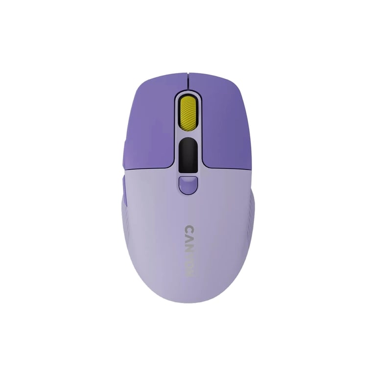 Мишка Canyon MW-26 LCD Silent Wireless/Bluetooth Violet (CNS-CMSW26V) - фото 1