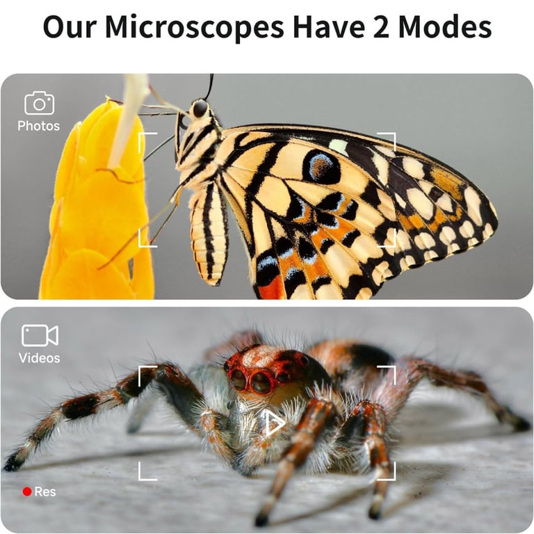 Мікроскоп Xiaomi BeaverLAB DDL-M2 Portable (DDL-M2C) - фото 7