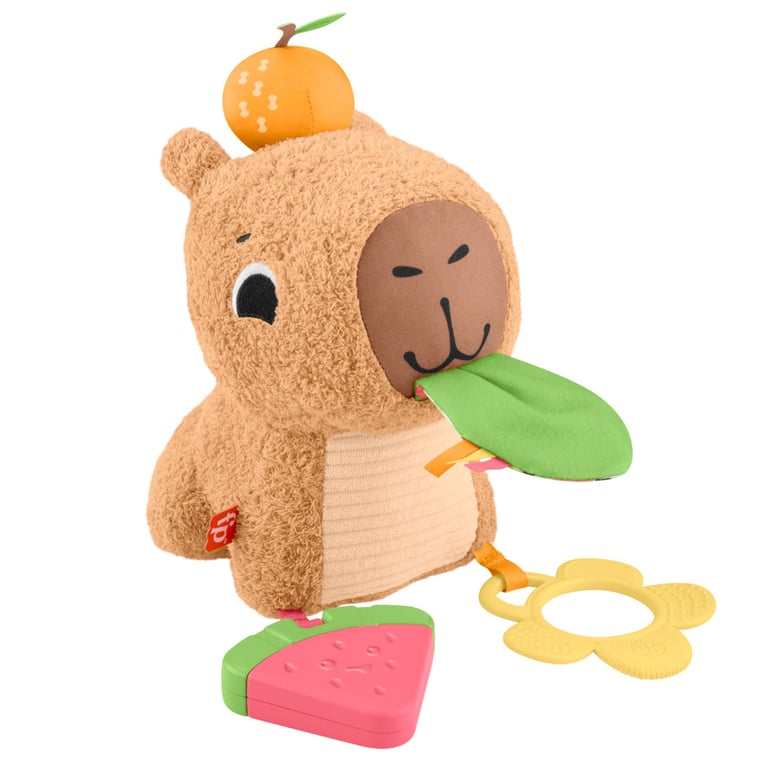 Розвиваюча іграшка Fisher-Price Капібара (HYR54) - фото 1