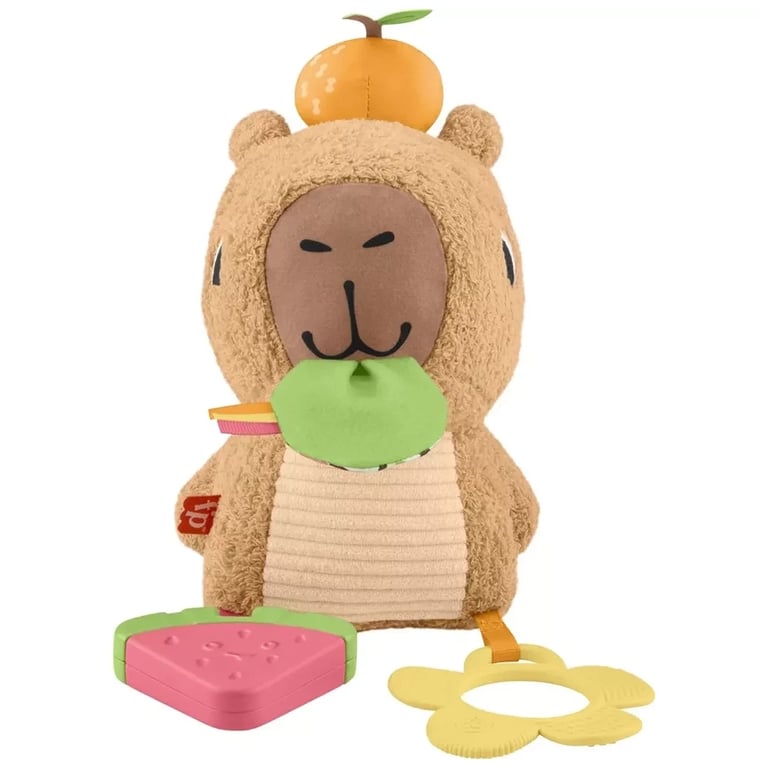 Розвиваюча іграшка Fisher-Price Капібара (HYR54) - фото 2