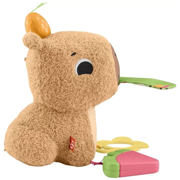 Розвиваюча іграшка Fisher-Price Капібара (HYR54) - фото 4