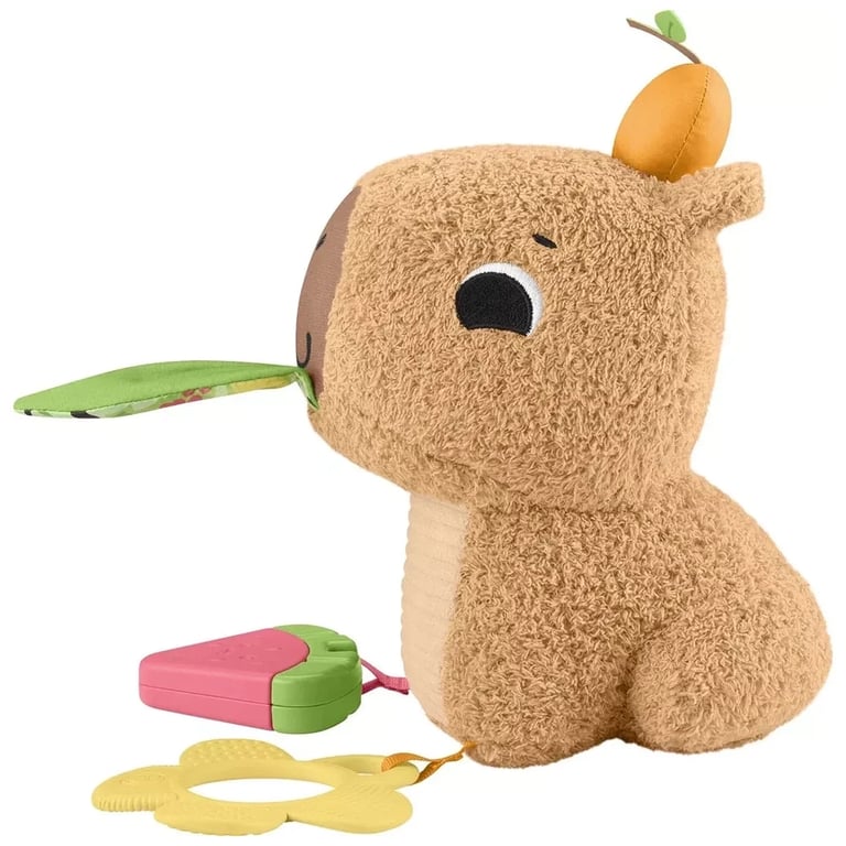 Розвиваюча іграшка Fisher-Price Капібара (HYR54) - фото 5