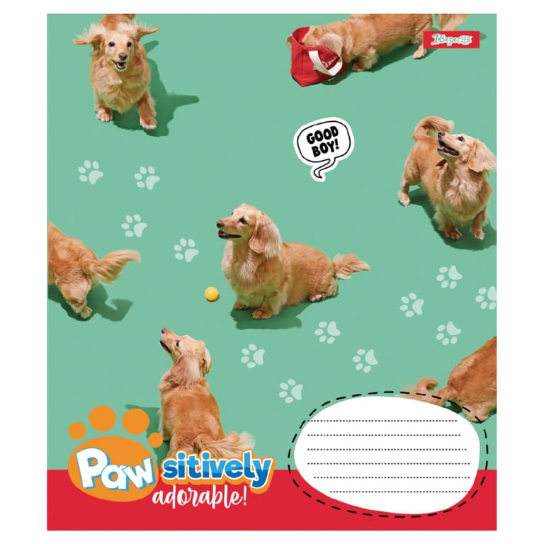 Зошит 1 вересня Pawsitively А5 18 аркушів лінія (768239) - фото 3