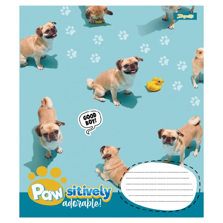 Зошит 1 вересня Pawsitively А5 18 аркушів лінія (768239) - фото 4