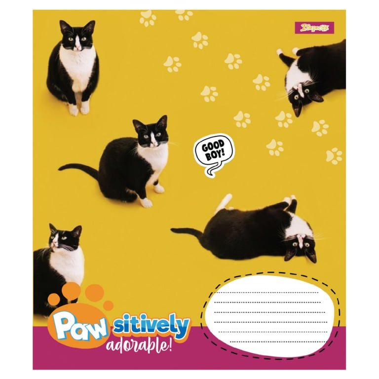 Зошит 1 вересня Pawsitively А5 18 аркушів лінія (768239) - фото 6