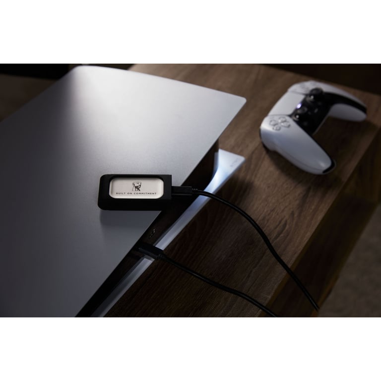 Накопичувач SSD USB Type-C 500GB XS2000 Kingston (SXS2000/500GA) - фото 10