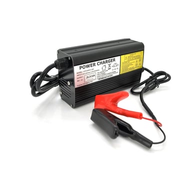Мережевий зарядний пристрій для АКБ Voltronic LiFePO4 24V(29.2V), 8S, 10A (24V(29,2V)-10A-240W) - фото 1