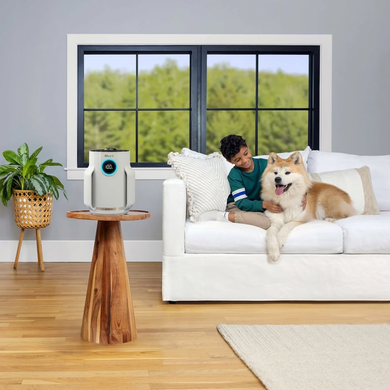 Очисник повітря Shark NeverChange5 Air Purifier Compact Pro (HP072EU) - фото 6