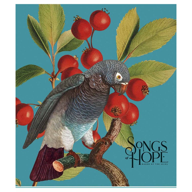 Зошит Школярик Birds 96 аркушів клітинка (096-3410K) - фото 1