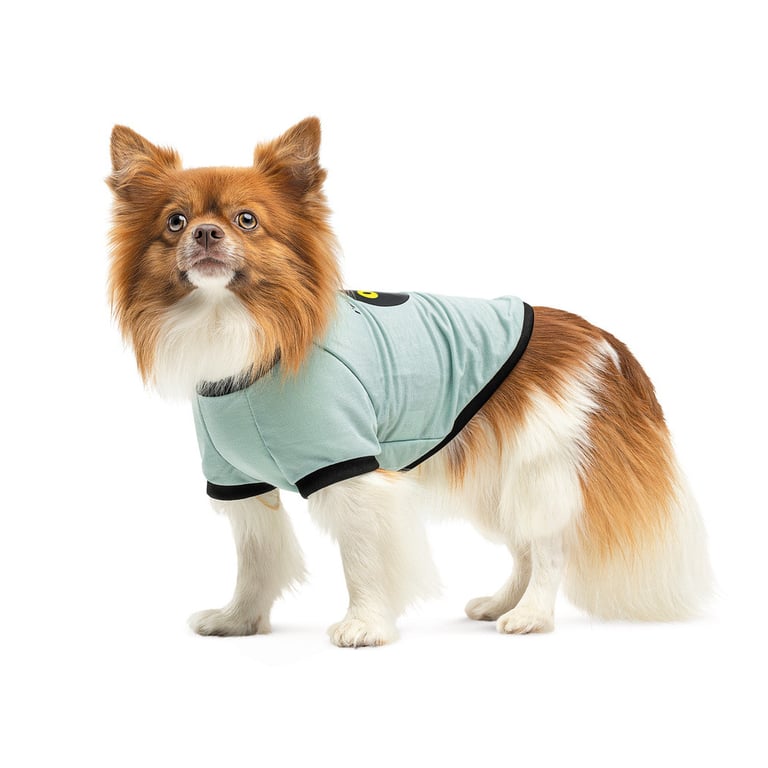 Футболка для тварин Pet Fashion Oscar XS2 блакитна (4823082441372) - фото 2