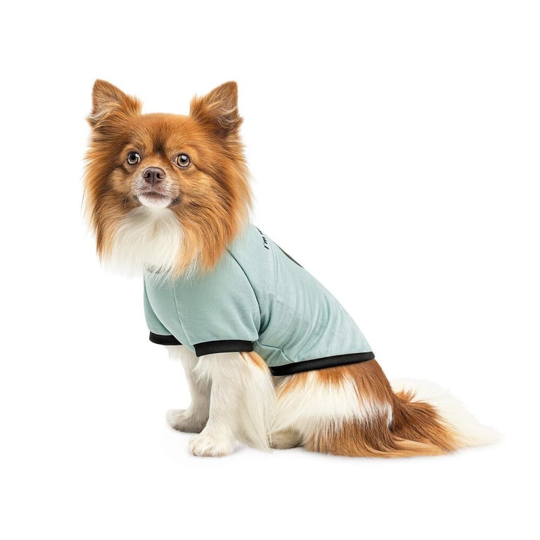 Футболка для тварин Pet Fashion Oscar XS2 блакитна (4823082441372) - фото 3