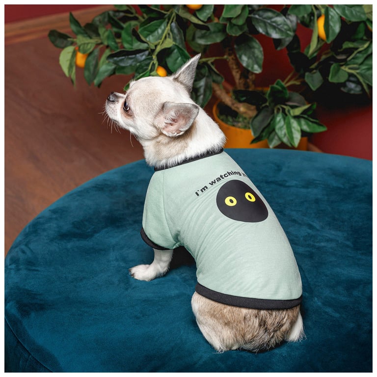 Футболка для тварин Pet Fashion Oscar XS2 блакитна (4823082441372) - фото 4