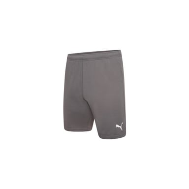 Шорти Puma teamRISE Short 704942-13 сірий M (4063699212051) - фото 1