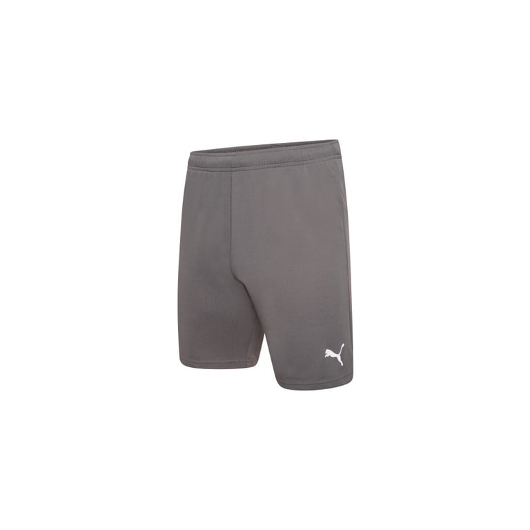 Шорти Puma teamRISE Short 704942-13 сірий M (4063699212051) - фото 1
