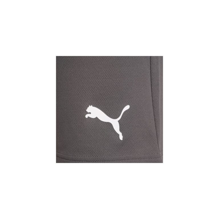Шорти Puma teamRISE Short 704942-13 сірий M (4063699212051) - фото 6