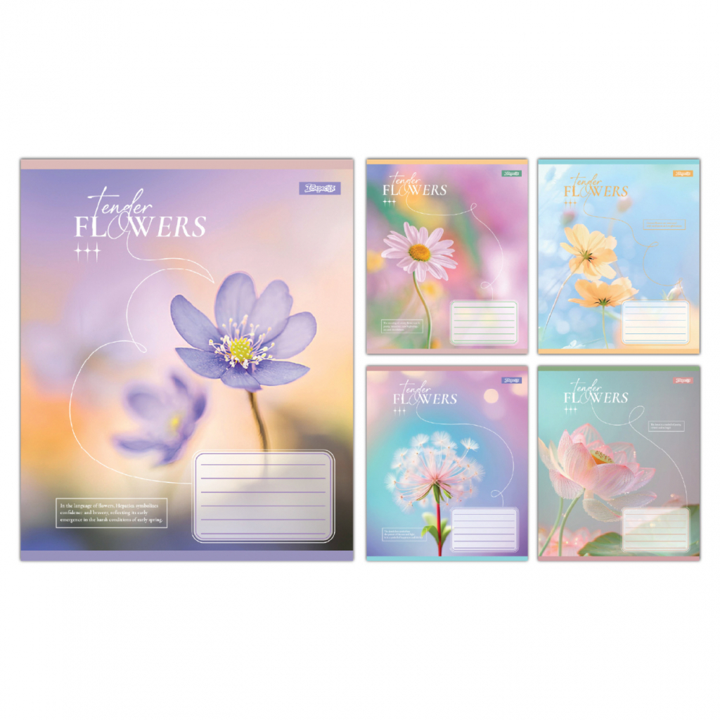 Зошит 1 вересня Tender Flowers А5 24 аркушів клітинка (768076) Зошит 1 вересня Tender Flowers А5 24 аркушів клітинка (768076)