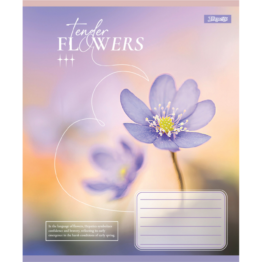 Зошит 1 вересня Tender Flowers А5 24 аркушів клітинка (768076) - фото 6 Зошит 1 вересня Tender Flowers А5 24 аркушів клітинка (768076) - фото 6