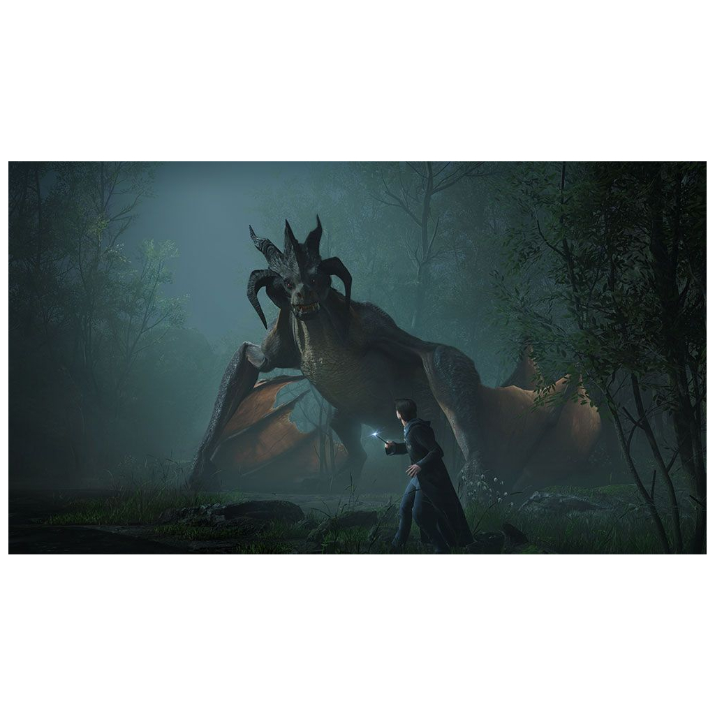 Гра Nintendo Hogwarts Legacy Deluxe Edition, картридж (5051895415597) - фото 3 Гра Nintendo Hogwarts Legacy Deluxe Edition, картридж (5051895415597) - фото 3