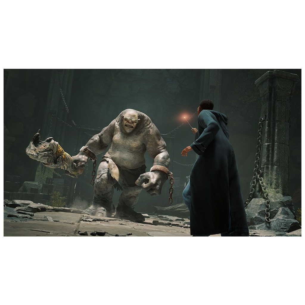 Гра Nintendo Hogwarts Legacy Deluxe Edition, картридж (5051895415597) - фото 9 Гра Nintendo Hogwarts Legacy Deluxe Edition, картридж (5051895415597) - фото 9