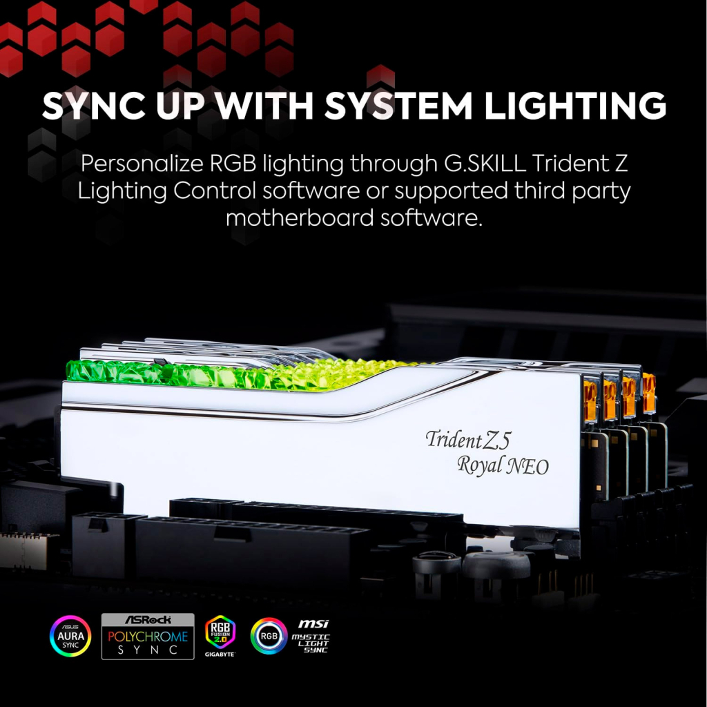 Модуль пам'яті для комп'ютера DDR5 32GB (2x16GB) 6000 MHz Trident Z5 Royal Silver G.Skill (F5-6000J2836G16GX2-TR5S) - фото 8 Модуль пам'яті для комп'ютера DDR5 32GB (2x16GB) 6000 MHz Trident Z5 Royal Silver G.Skill (F5-6000J2836G16GX2-TR5S) - фото 8