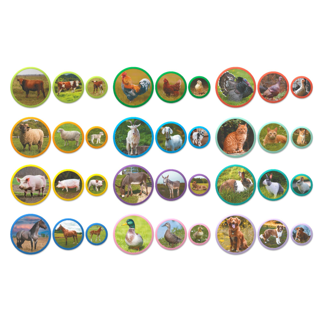 Навчальний набір DoDo Магнітний набір Монтесорі Родини тварин: ферма (200271) - фото 3 Навчальний набір DoDo Магнітний набір Монтесорі Родини тварин: ферма (200271) - фото 3