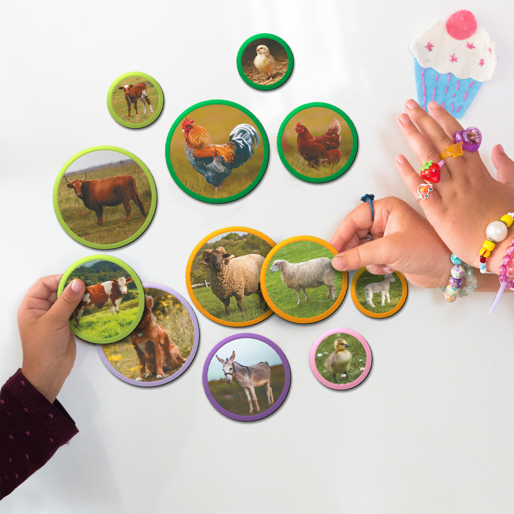 Навчальний набір DoDo Магнітний набір Монтесорі Родини тварин: ферма (200271) - фото 6 Навчальний набір DoDo Магнітний набір Монтесорі Родини тварин: ферма (200271) - фото 6