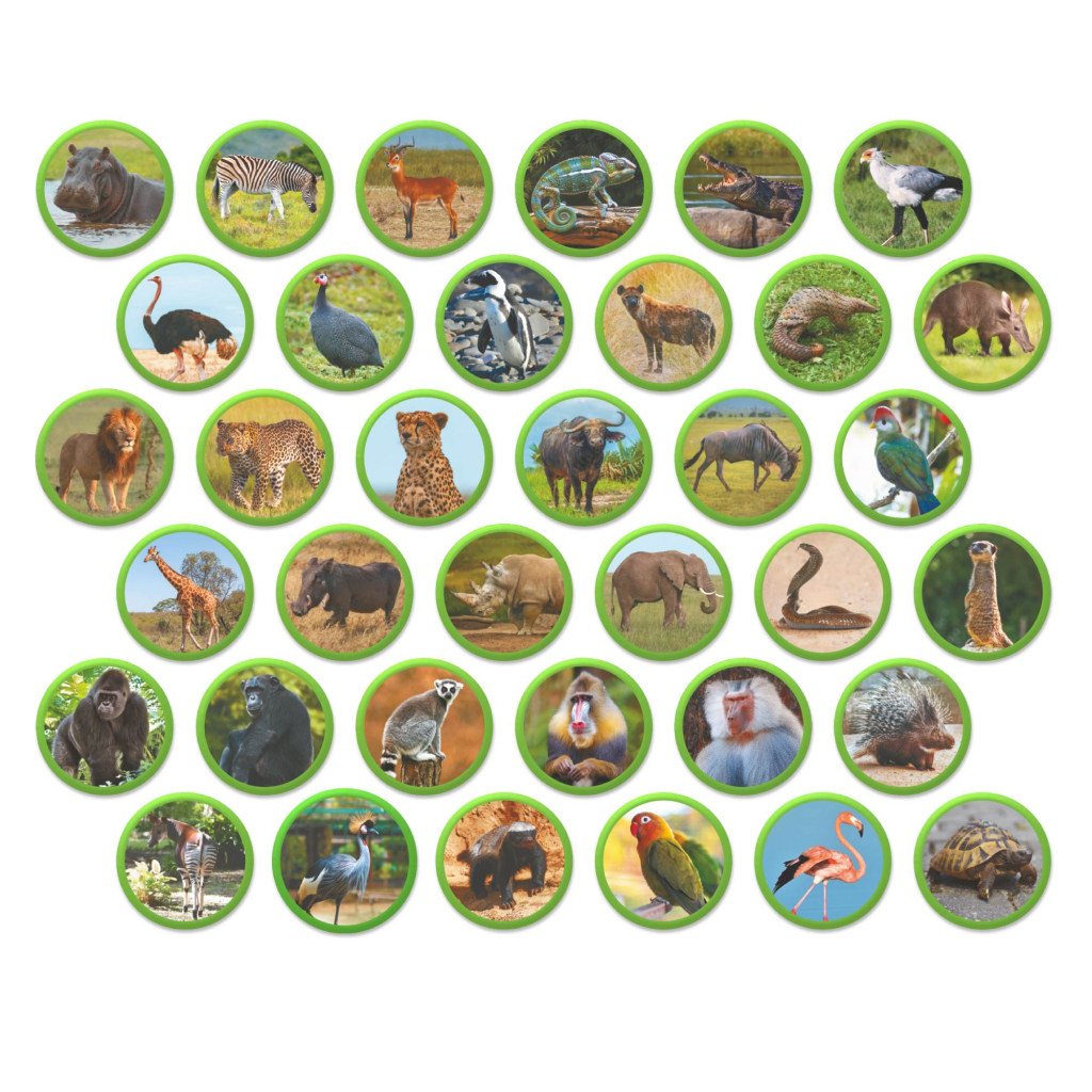 Навчальний набір DoDo Магнітний набір Монтесорі Тварини на континентах: Африка (200284) - фото 3 Навчальний набір DoDo Магнітний набір Монтесорі Тварини на континентах: Африка (200284) - фото 3