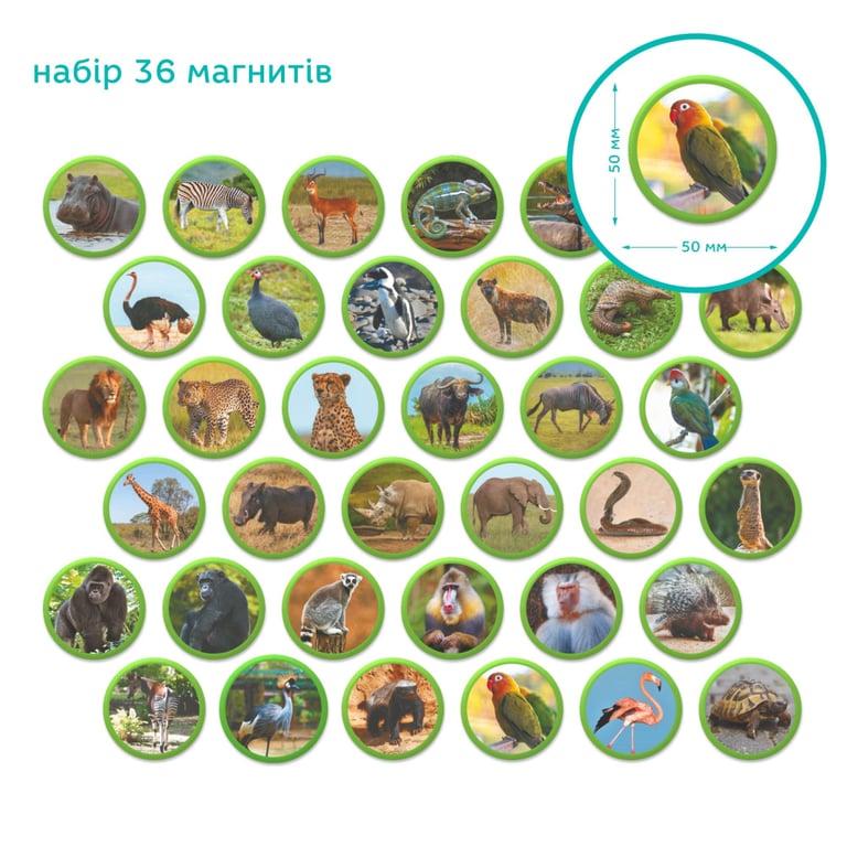 Навчальний набір DoDo Магнітний набір Монтесорі Тварини на континентах: Африка (200284) - фото 4