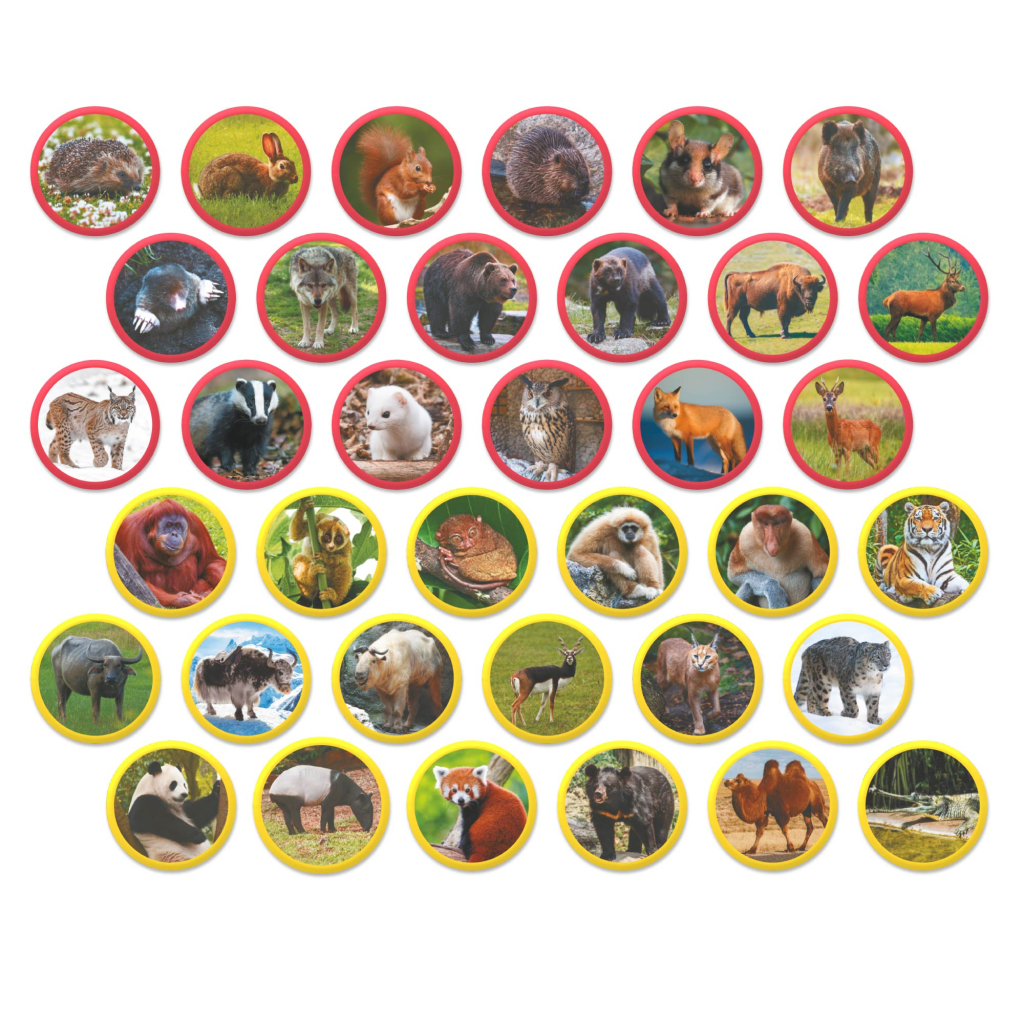 Навчальний набір DoDo Магнітний набір Монтесорі Тварини на континентах: Євразія (200285) - фото 3 Навчальний набір DoDo Магнітний набір Монтесорі Тварини на континентах: Євразія (200285) - фото 3