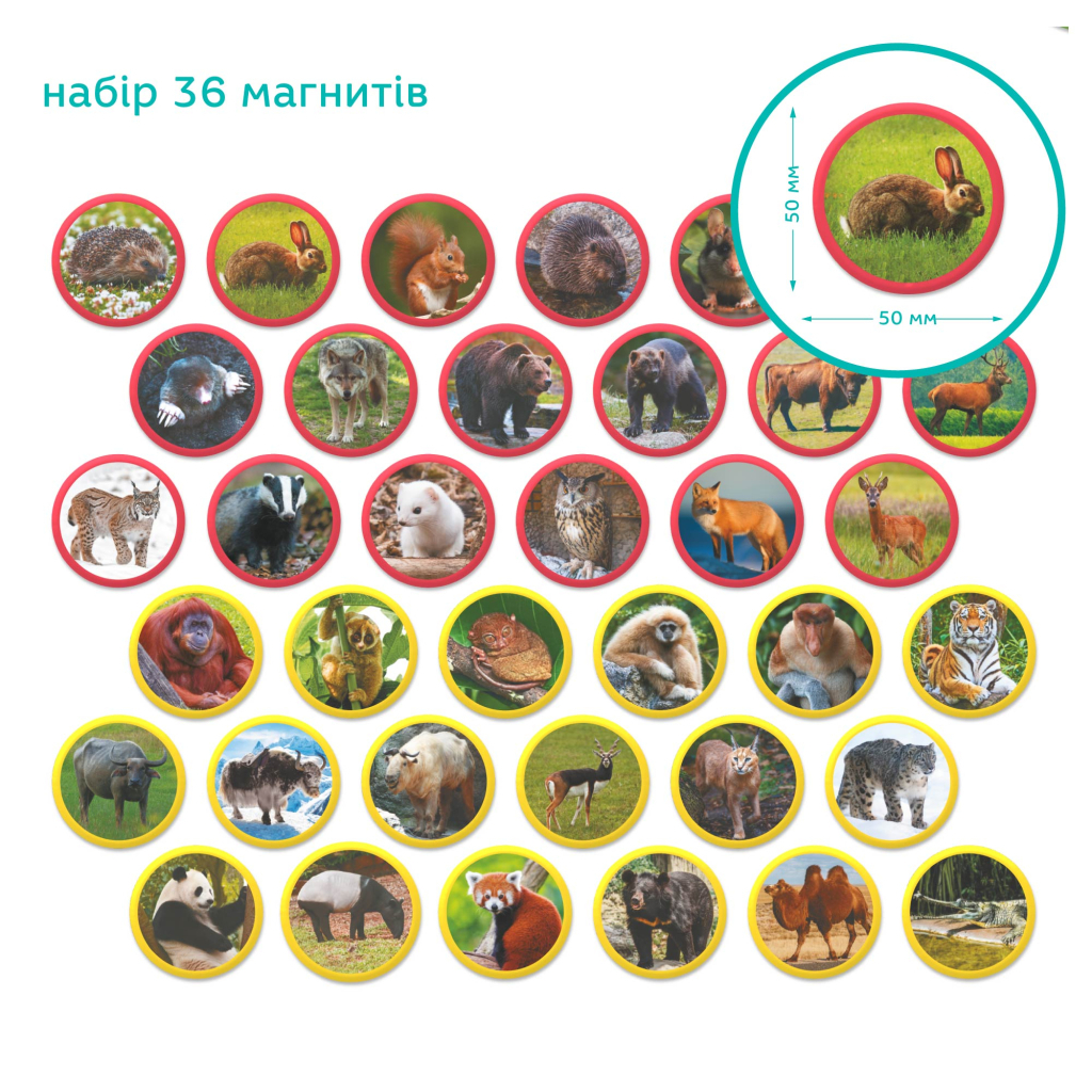 Навчальний набір DoDo Магнітний набір Монтесорі Тварини на континентах: Євразія (200285) - фото 4 Навчальний набір DoDo Магнітний набір Монтесорі Тварини на континентах: Євразія (200285) - фото 4