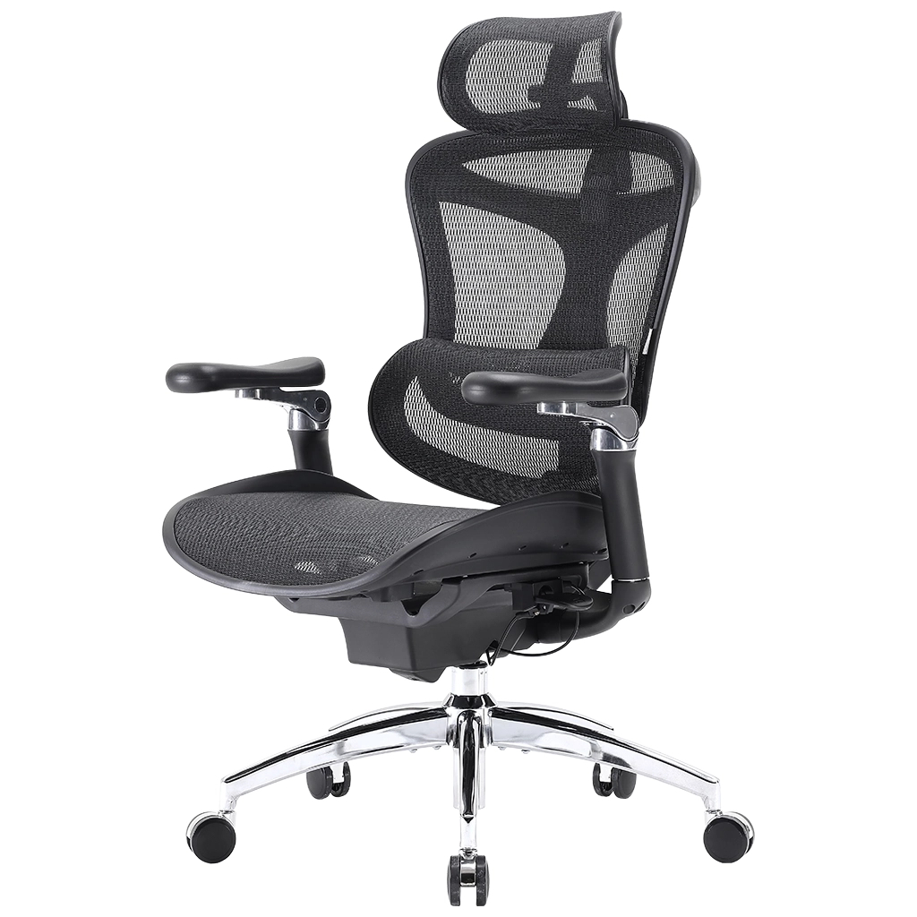 Офісне крісло Sihoo DORO C300 Pro Mesh Black (DORO-C300-PRO-M101)