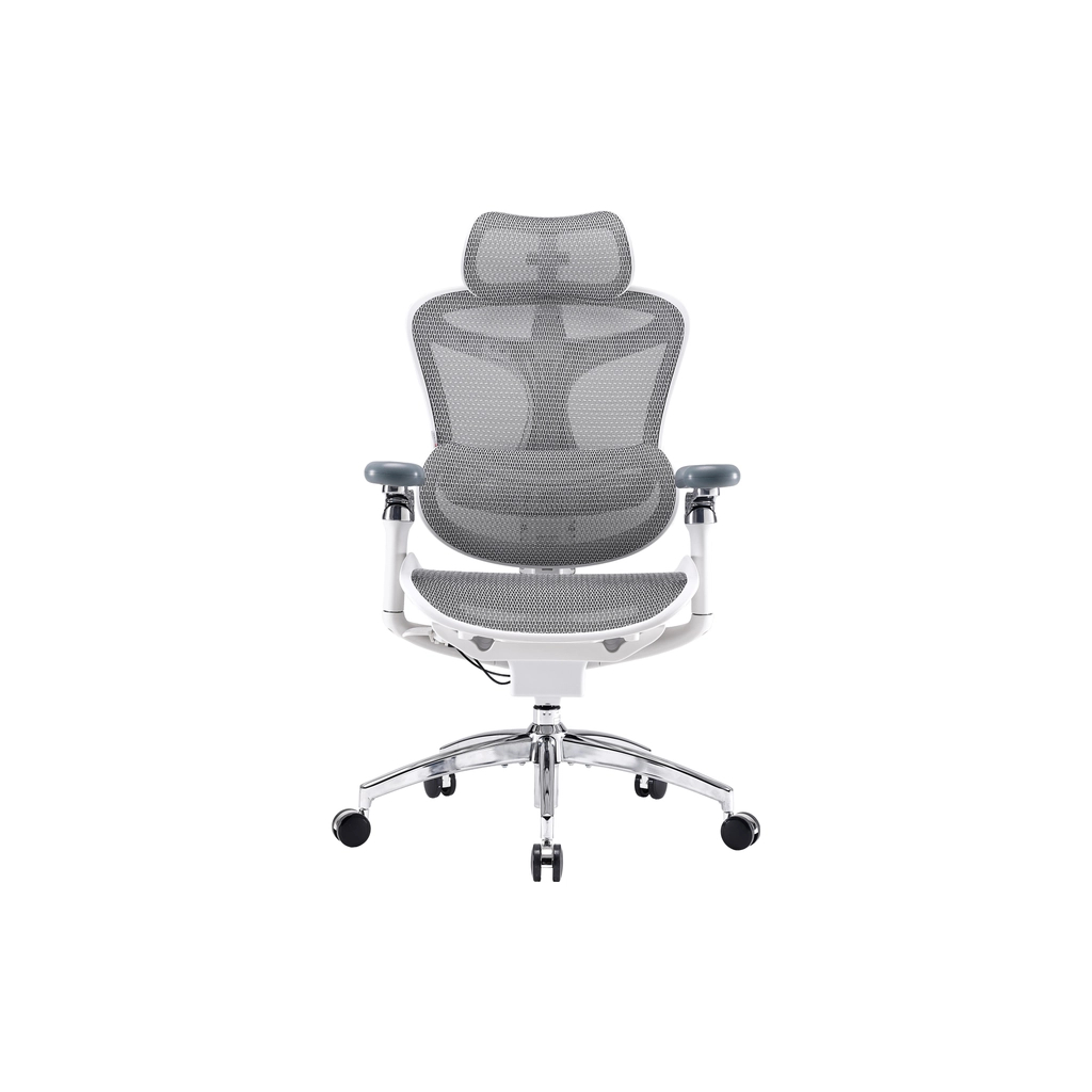 Офісне крісло Sihoo DORO C300 Pro Mesh White (DORO-C300-PRO-M102)