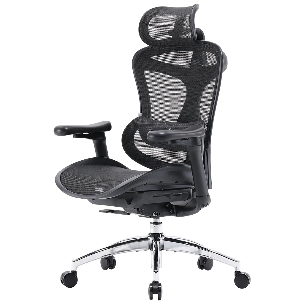 Офісне крісло Sihoo DORO C300L Mesh Black (DORO-C300L-A3-101)