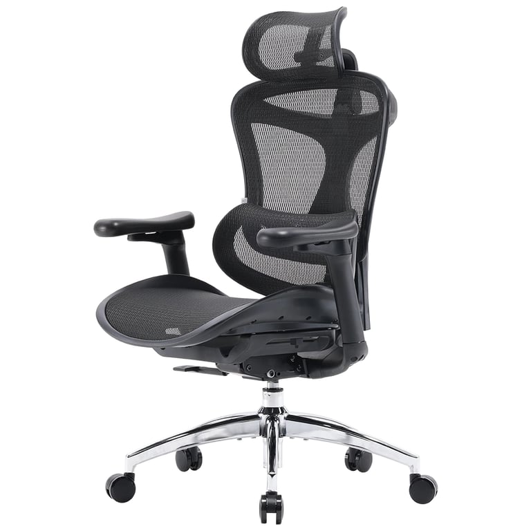 Офісне крісло Sihoo DORO C300L Mesh Black (DORO-C300L-A3-101)