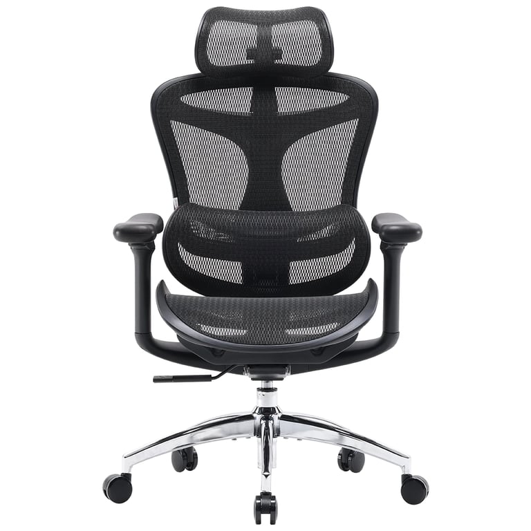 Офісне крісло Sihoo DORO C300L Mesh Black (DORO-C300L-A3-101) - фото 2